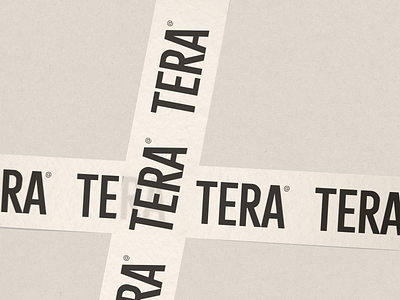 Modern Visual Identity for Sustainable Fashion Brand TERA