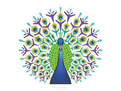 Abstract Peacock Illustration abstract abstract design adobe illustrator design illustration peacock vector