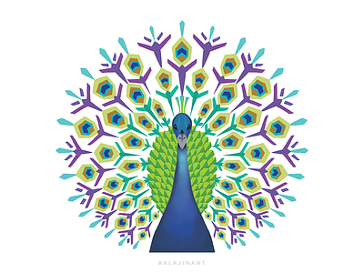 Abstract Peacock Illustration