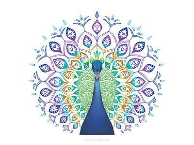 Peacock illustration with motifs