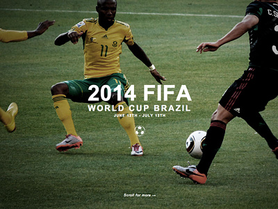 2014 FIFA World Cup.
