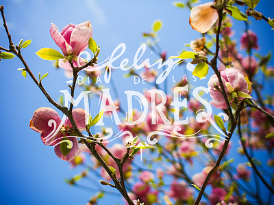 Feliz dia de las Madres! type