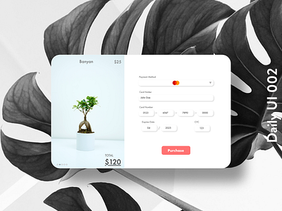 Daily UI 002 Credit Card Checkout checkout dailyui illustrator ui xd