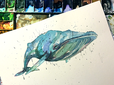 Whale watercolor series drawing illustration painting pen drawing sujin lee watercolor whale wowsujina