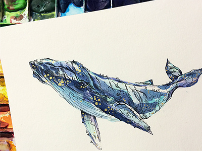 Humpback design drawing illustration painting pen drawing sujinlee watercolor whale wowsujina