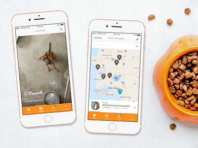CamCare Live Streaming Pet App app camera concept interface iphone live steam pet prototype
