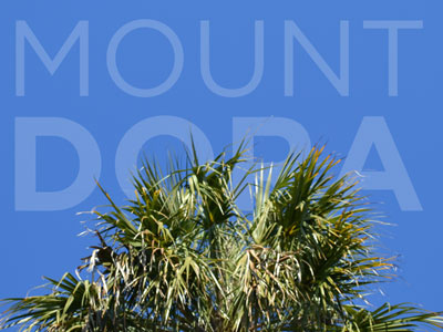 Mount Dora gotham mount dora