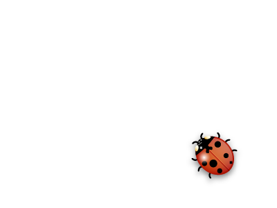 Ladybug bug illustration