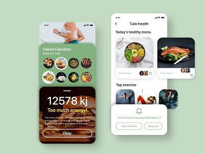 Calo - Calorie monitor