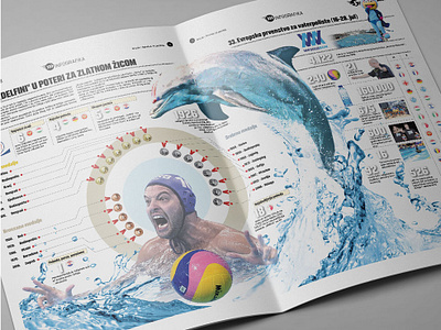 Infographic Water polo Spain 2018 design dolphin info infographic infographic design infographic elements infographic layout infographics infographics design infographicsmag infography information information design medals sports water waterpolo watersport