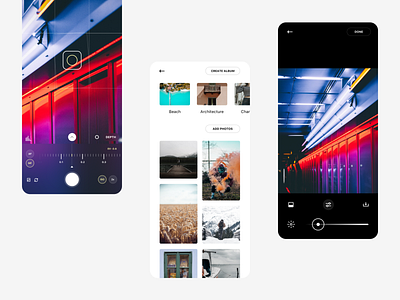 Halide album app halide interface ios ios app ios experience iphone mobile ui photo photo app photo editor photography photography app ui ui design ux ux design