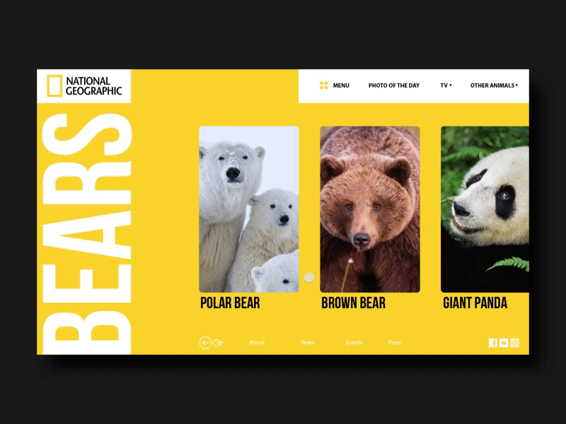 National Geographic — bears promo page