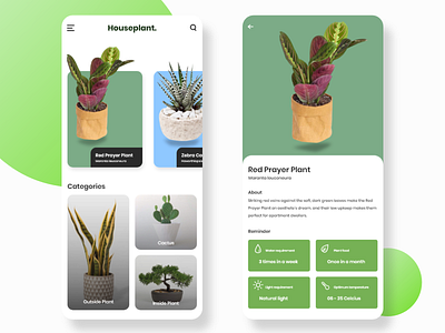 Houseplant mobile web concept