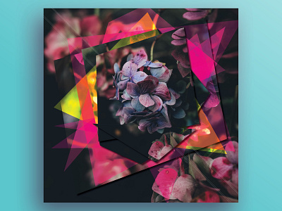 Alterspective Dribbble 13 30daychallenge art art challenge design design art flower geometric geometric design illustration nature photo art poster posterart shapes