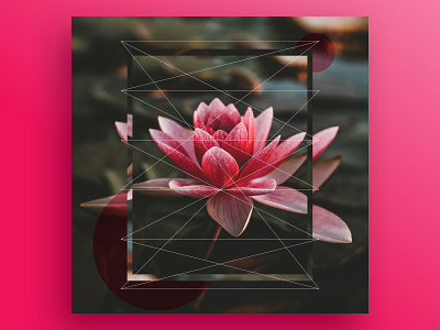 Alterspective 15 30daychallenge art art challenge art director design design art designspiration geometric geometric design grafikdesign graphic design graphic designer graphicdesigncentral linestyle nature photo art pink flower poster posterart