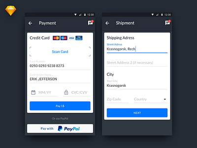 Payment And Shipment Screen Concept