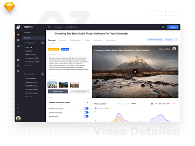 Video Platform • Video Details