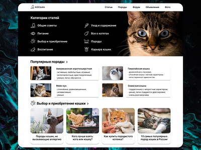 Information portal about cats for their owners design figma pets ui ux