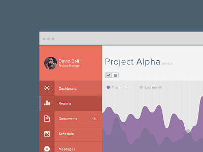 Project Management Dashboard flat graphs icons minimal typography ui ux