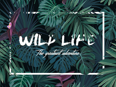 Wild Life