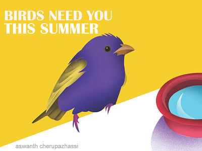 save bird in summer