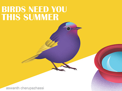 save bird in summer