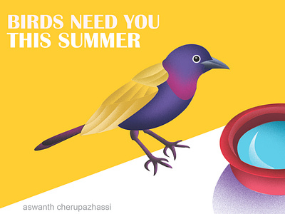 save bird in summer