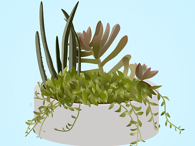 Plant illustration sketchapp ui