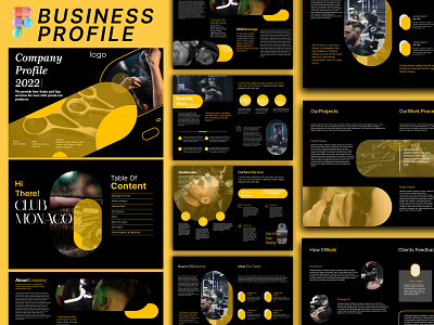 Business Profile Template branding business profile design graphic graphic design profiledesign