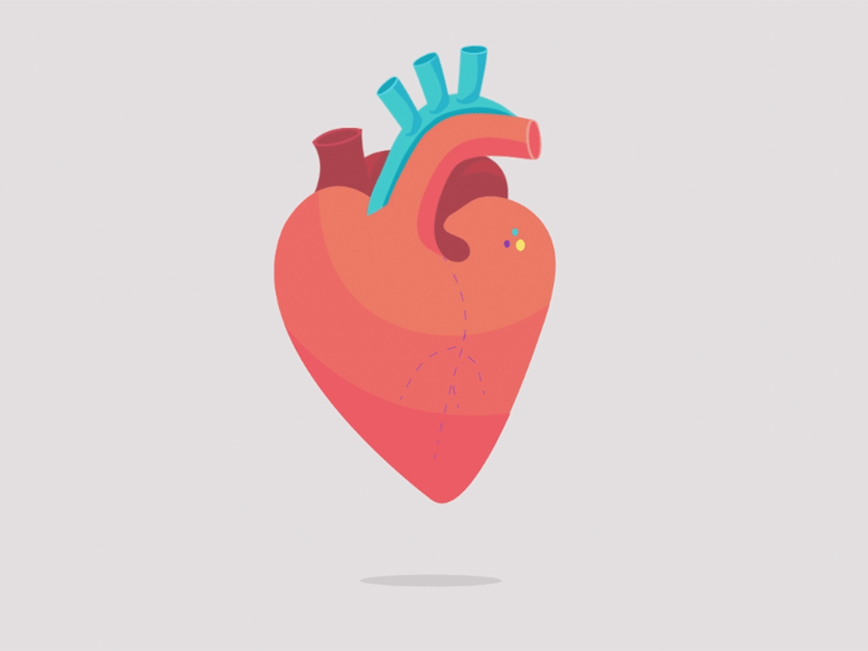 Heart Dribbble animation still heart illustration