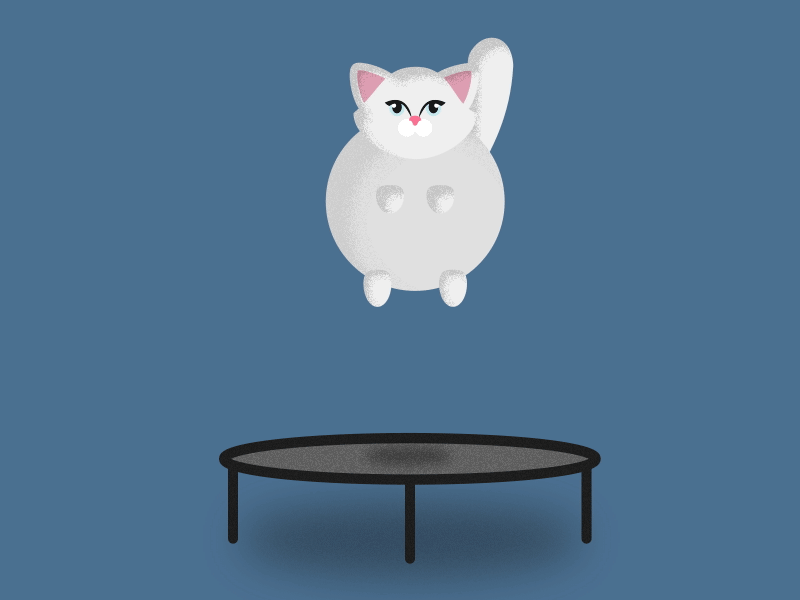Jumping Round Cat 100 day project 2d animation after effects animation art cat cat art cat illustration cute design flat illustration illustrator jumping motion design motion graphics trampoline vector