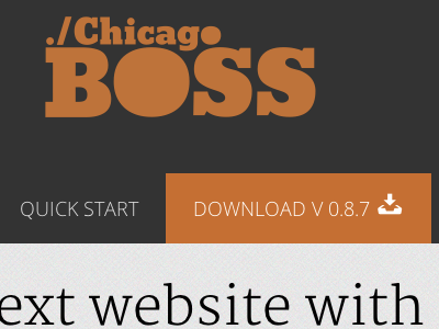 Chicago Boss