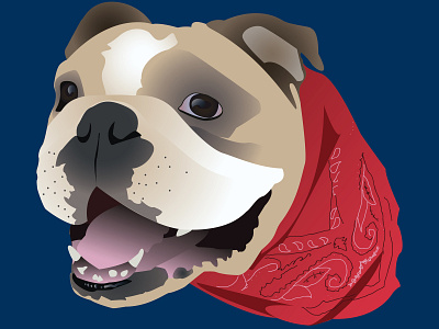 Chunkee adobe illustrator bandana bulldog design digital dog illustration pet portrait vector