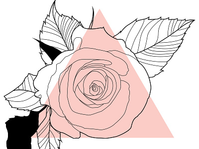 Rose Quartz adobe illustrator design digital illustration illustration art pantone rose quartz