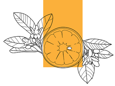 Citrine adobe illustrator citrine design digital illustration illustration art orange vector vector art