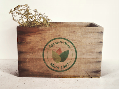 logo design on wooden box