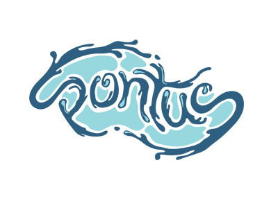 Pontus Logotype illustration lettering type