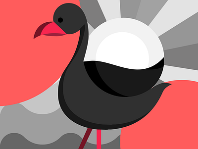 bird illustration illustration