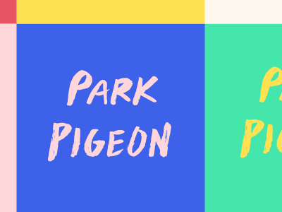 Park Pigeon hand identity lettering logo pigeon type