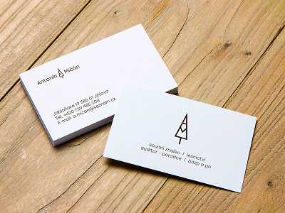 logo and business card for the forest expert bussines cards logo