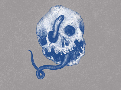 Skull Illustration drawing illustration
