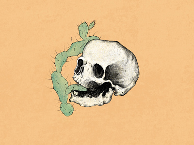 Skull