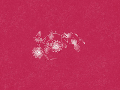 Blooming 👀 drawing illustration