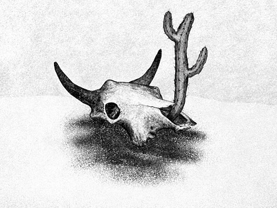 Desert Dreaming [Illustration] cactus cow skull desert drawing illustration