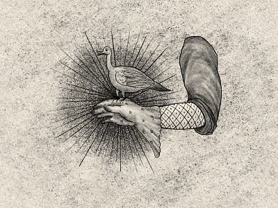 Bird Holding bird drawing hand illustration