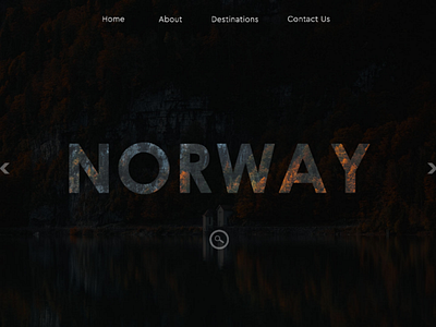 Ui design Travel travel uidesign website