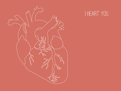 Anatomical heart anatomical heart anatomy heart illustration line art love organ vector