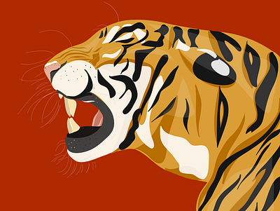Tiger King 🐯 adobe adobe draw adobe illustrator graphic illustration illustrator tiger tigers vectors