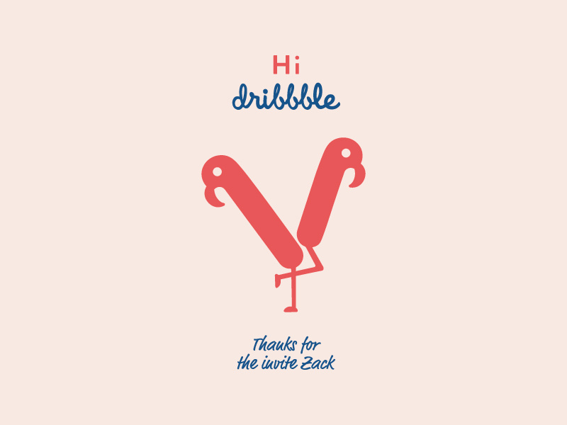 Hi Dribbble, flamingo logotype personal branding illustration typography branding design logo