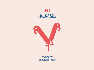 Hi Dribbble, branding design flamingo illustration logo logotype personal branding typography